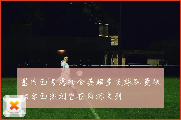 塞内西考虑转会英超多支球队曼联切尔西热刺皆在目标之列