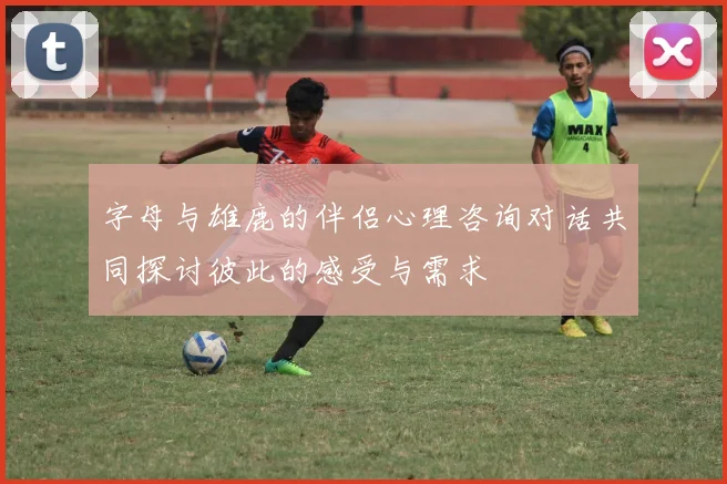 字母与雄鹿的伴侣心理咨询对话共同探讨彼此的感受与需求