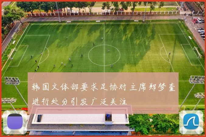 韩国文体部要求足协对主席郑梦奎进行处分引发广泛关注